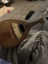 Vintage bowl back mandolin