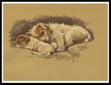 JACK RUSSELL TERRIER MUM AND