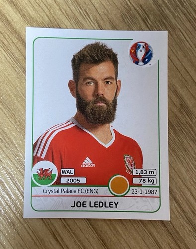 Panini uefa euro 2016 joe - panini,