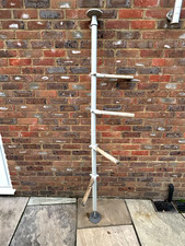 Omlet Chicken Hentertainment