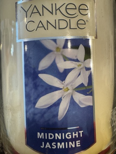 Rare midnight jasmine yankee - midnight,