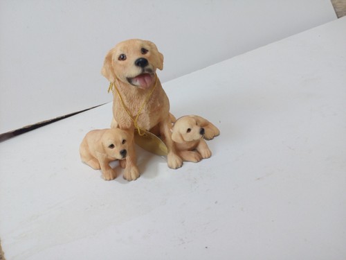 Dogs labrador and - labrador, puppies