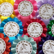 Horse Rosettes x 10 Assortment