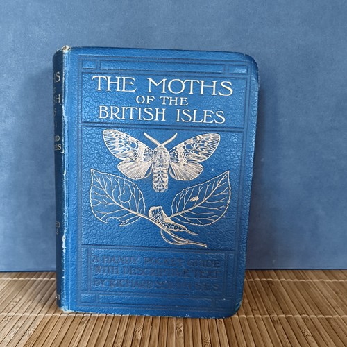 Wayside woodland moths - wayside, woodland,