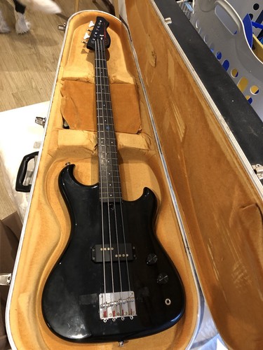 Westone spectrum bass - westone,