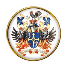 Lisburn (Northern Ireland) Pin