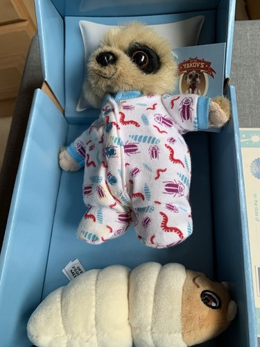 Baby oleg meerkat - oleg, with