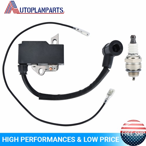 Ignition coil for - ignition,