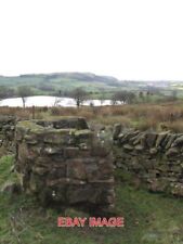 PHOTO  WALL UNUSUAL SHEEP SHELTER! 2007
