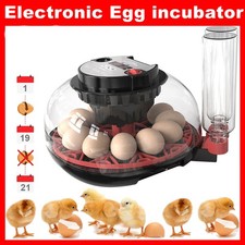 12 Egg Incubator Digital