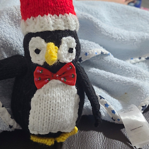 Handknitted penguin soft toy - handknitted,