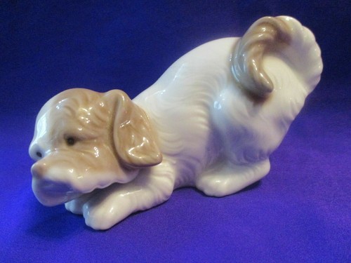 Nao playful spaniel - dog, puppy