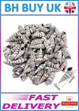 40g aquarium snail shells - 40g,