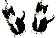 TUXEDO KITTEN BLACK WHITE CAT