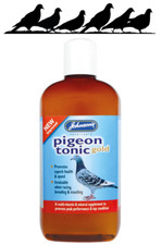 Johnsons New Improved Pigeon