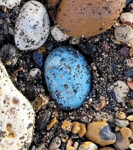 Very large 5cm blue galaxy - large,