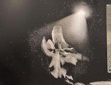 black and white fine art