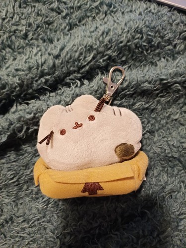 Pusheen sat box - pusheen, in
