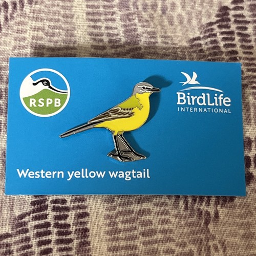 Rspb international pin badge - international,