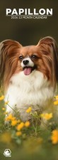 Papillon Dog 2026 Slim