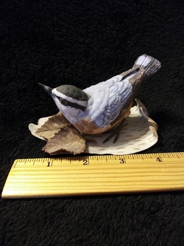 Brooks bentley nuthatch - nuthatch, 🐦