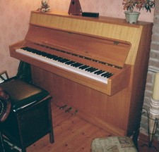 Goltermann (Rippen) Piano