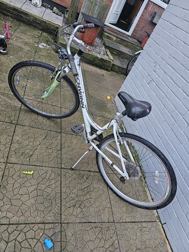 Schwinn trailway step - schwinn,
