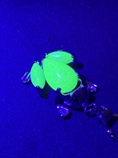 Glass Uranium Frog 18k Gold