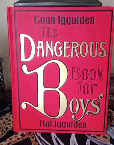 The dangerous book for boys - book,
