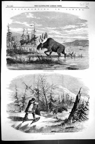 Original old antique print - antique,