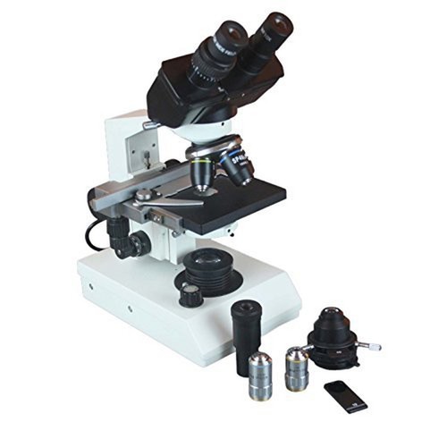 Radical medical biology - radical,