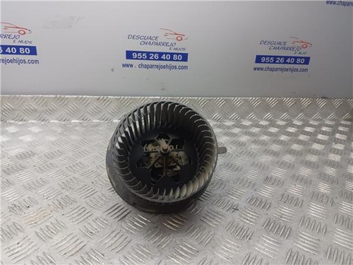Fan volkswagen passat - fan,