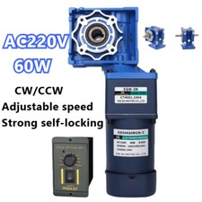AC 220V 60W Two Stage Worm Gear Reducer Gearbox Motor Gearmotors 0.1RPM to 5RPM