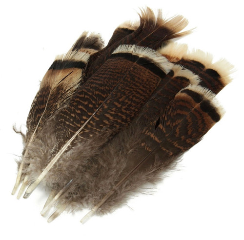 5pcs 15cm natural - 10-15cm,