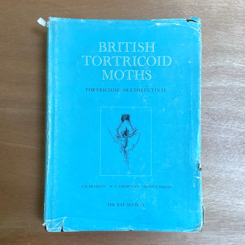 British tortricoid moths - moths,