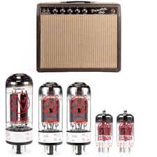 Fender Princeton Blackface (no