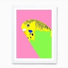 Green Budgie Art Print Framed