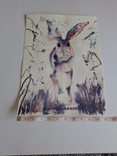 Hare   Signed Wildlife