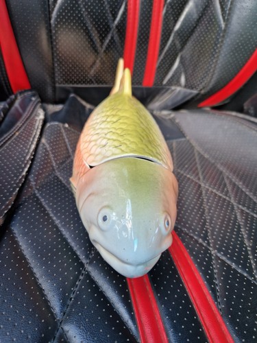 Michel caugant ceramic fish - caugant,