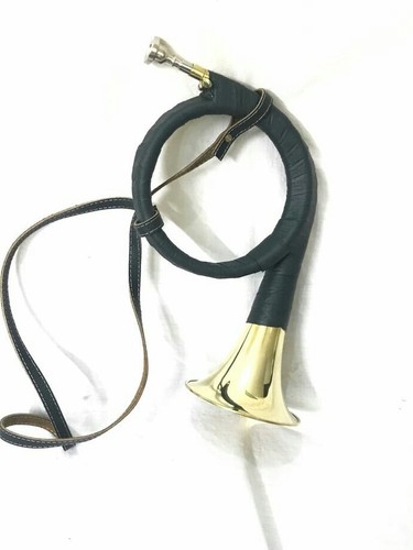 French hunting horn - bb, musical