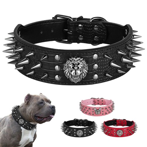 5cm wide spiked studded dog - 5cm,