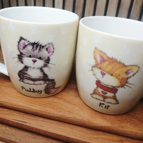 Pair cat mugs pudding - pair,