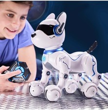 Ziggy the Robo Dog