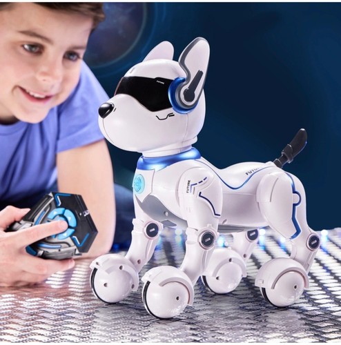 Ziggy the robo dog - ziggy,