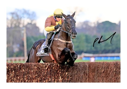 Paul townend galapin des - paul,