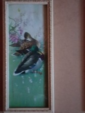 Old mallards print vernon ward