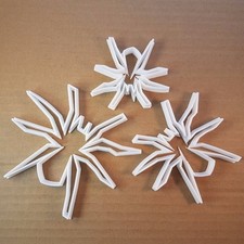 Spider Arachnid Halloween