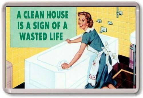 Fridge magnet clean house - fridge,