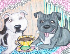 Staffy Staffordshire Bull