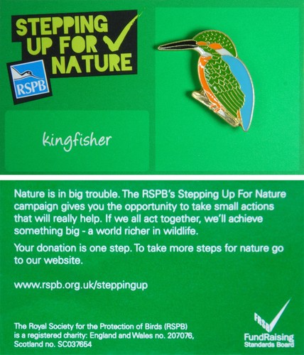 Rspb pin badge sufn - rspb,